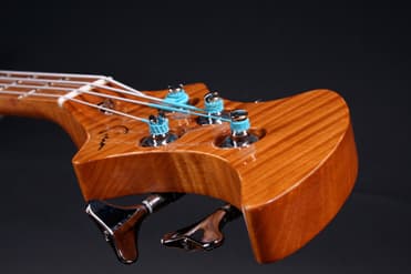 Bass neck detail