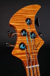Headstock detail — Flamingo
